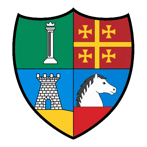 Palio Live